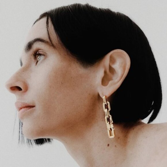 Eddie Borgo Supra Link Drop Earrings NIP - Picture 3 of 5